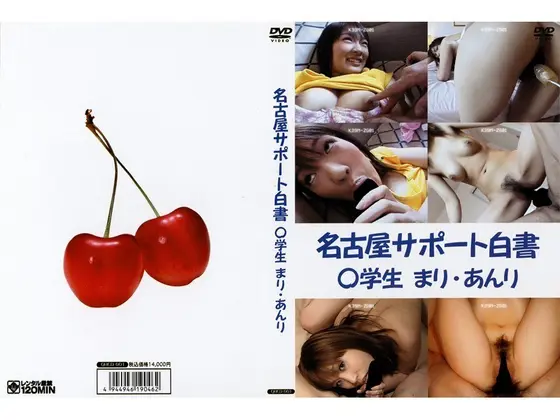 Nagoya S＊＊＊＊＊t Support White Paper - Mari ･ Anri