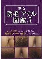 MILF Anal Pubes Illustrated 3 3