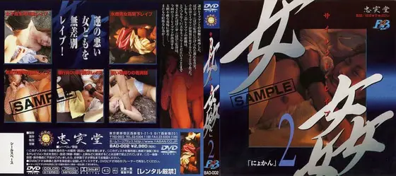 女姦 disc.2