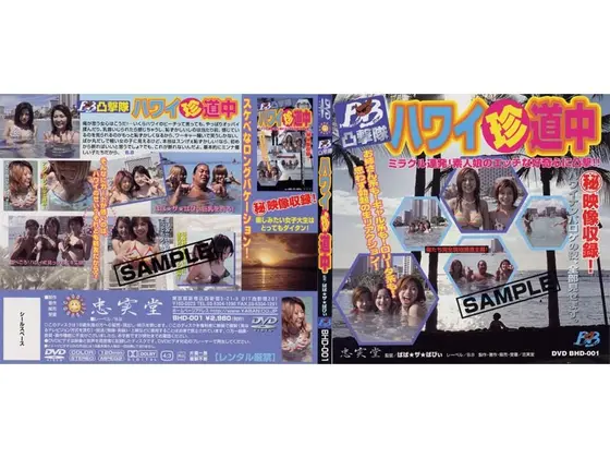 BB凸撃隊ハワイ珍道中
