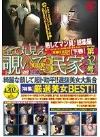 All POV Voyeur Private House [Issue 32] stage 3