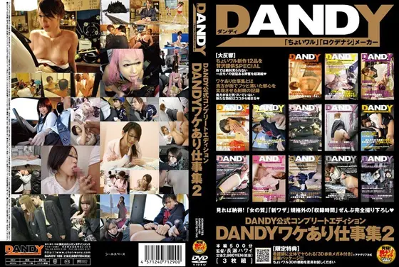 DANDY公式コンプリートエディション DANDYワケあり仕事集 2