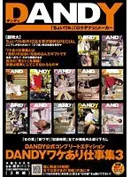 DANDY公式コンプリートエディション DANDYワケあり仕事集 3