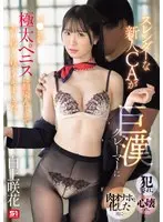 スレンダーな新人CAが巨漢クレーマーに犯●れ、心壊れ、肉オナホと化した後に… マ●コが極太ペニスに馴染んできてあり得ないほどイキまくった。 白上咲花 （BOD）