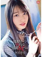 従順かつ性的な美麗Mペット 河北彩花