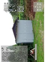 飼い雌 （DOD）
