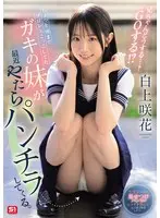 【数量限定】ちょっと前までプロレスごっこしてたガキの妹が最近やたらパンチラしてくる。兄ちゃんどうする…？ GOする！？ 白上咲花 生写真3枚付き