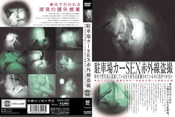 駐車場カーSEX赤外線盗撮 （DOD）