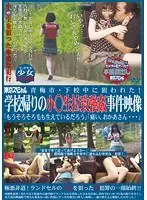 青梅市・下校中に狙われた！学校帰りの小○生拉致強●事件映像「もうそろそろ毛も生えているだろう」「痛い、おかあさん…」