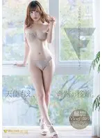 Best of Garcon's Gal Mega Collection vol. 05