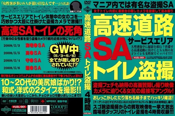 高速道路SAトイレ盗撮