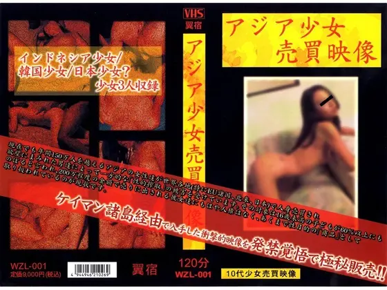 Barely Legal Asian Babe's Sex Tape