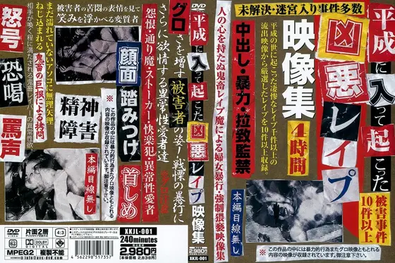 平成に入って起こった凶悪レ●プ映像集