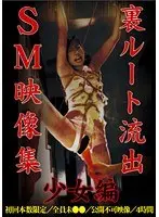 裏ルート流出SM映像集 少女編
