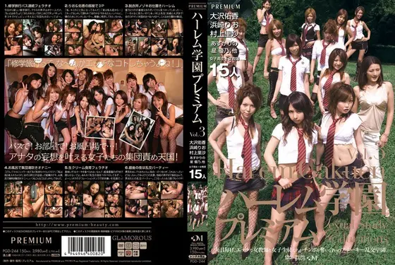 Harem Academy Premium vol. 3