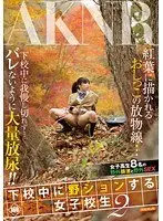 下校中に野ションする女子校生 2