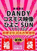 【数量限定★福袋】DANDY×コスモス映像×ひよこ×SUN 4メーカー合同！新春2024大感謝祭アンコール【DVD5枚/特典付き】