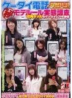 ケータイ電話（秘）モテール実態調査