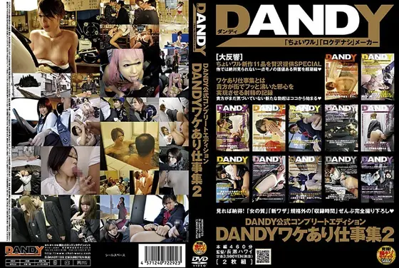 DANDY公式コンプリートエディション DANDYワケあり仕事集 2 （2枚組）