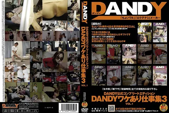 DANDY公式コンプリートエディション DANDYワケあり仕事集 3 DISC.1