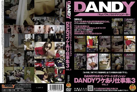 DANDY公式コンプリートエディション DANDYワケあり仕事集 3 DISC.3