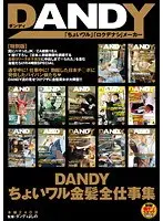 DANDYちょいワル金髪全仕事集