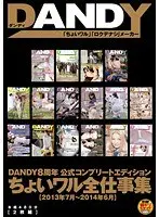 DANDY8周年公式コンプリートエディション ちょいワル全仕事集＜2013年7月〜2014年6月＞（2枚組）