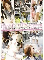 Chasing Working Women 6 [Wedding Counselor Edition]