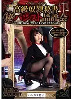 高級奴●秘書（マル秘）パンスト品評会