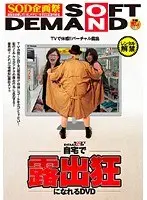 自宅で露出狂になれるDVD