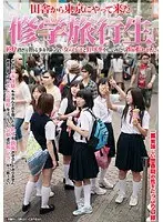 修学旅行生
