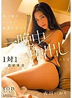 古川いおり 最上級のイイ女と時間を忘れて一晩中中出しSEX