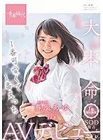 She's The Cutest And Sexiest Harukaze Ayu 19 Years Old A One-Time-Only Performance An SOD Exclusive Adult Video Debut