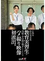 とある品行方正な教育実習生が内緒でお小遣い稼ぎしていたときのハメ撮り映像初流出。