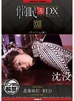 催● 赤 DX 22 スーパーmc編