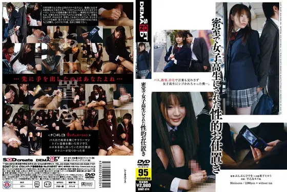 密室で女子校生にされた性的お仕置き （DOD）