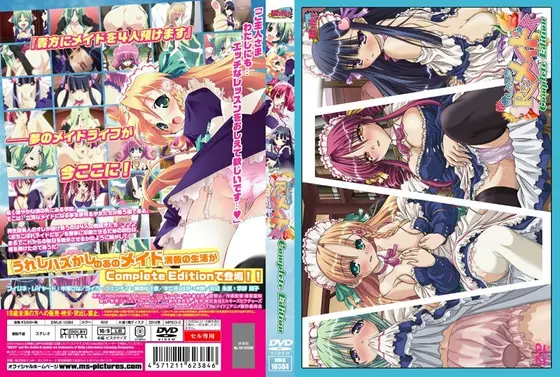 Teach me Re:Maid Complete Edition