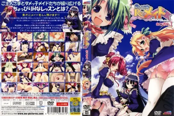 Teach me◆Re:Maid Lesson 1