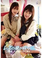 レズの華が咲く頃。 VOL.3