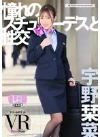 [VR] [WAAP Group VR Renewal] Fucking The Stewardess Of My Dreams VR Kanna Abe