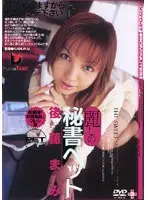 Beautiful Secretary Pet Mami Goto (DOD)