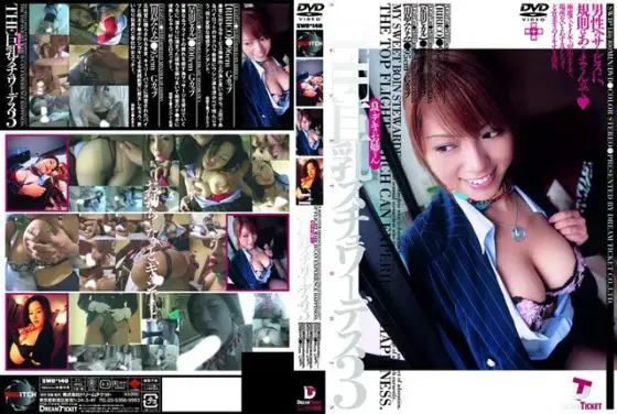 I like it no matter what anyone says! Erotic Big Tits 8 hours (2-disc set)