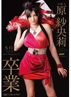 Celebrity Saori Hara SOD Graduation