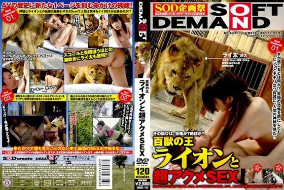 Lion, King of Animals & Hot Climax SEX