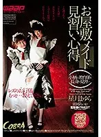 お屋敷メイド見習い心得 （DOD）