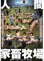 Human Cattle Ranch