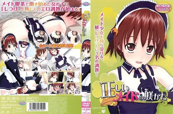 正しいメイドの躾かた （DVDPG）