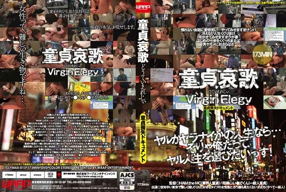 Virgin Elegy: A Documentation Of Losing Virginity