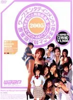 ワープエンタテインメント 1年まるごと特別総集編 [ワープ●2005年全仕事]