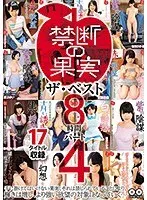 禁断の果実 ザ・ベスト8時間パート4（2枚組）